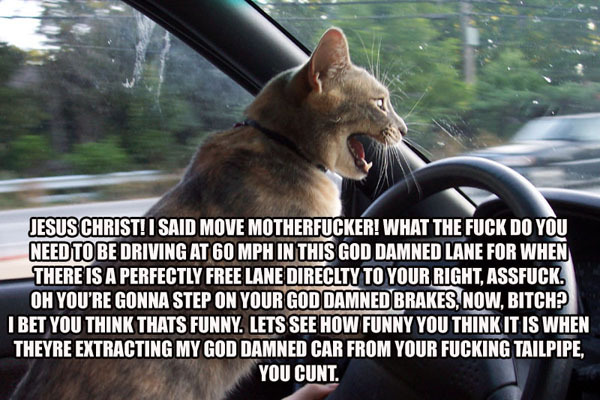 roadrage.jpg