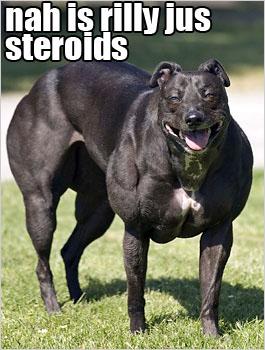 ROIDS.jpg