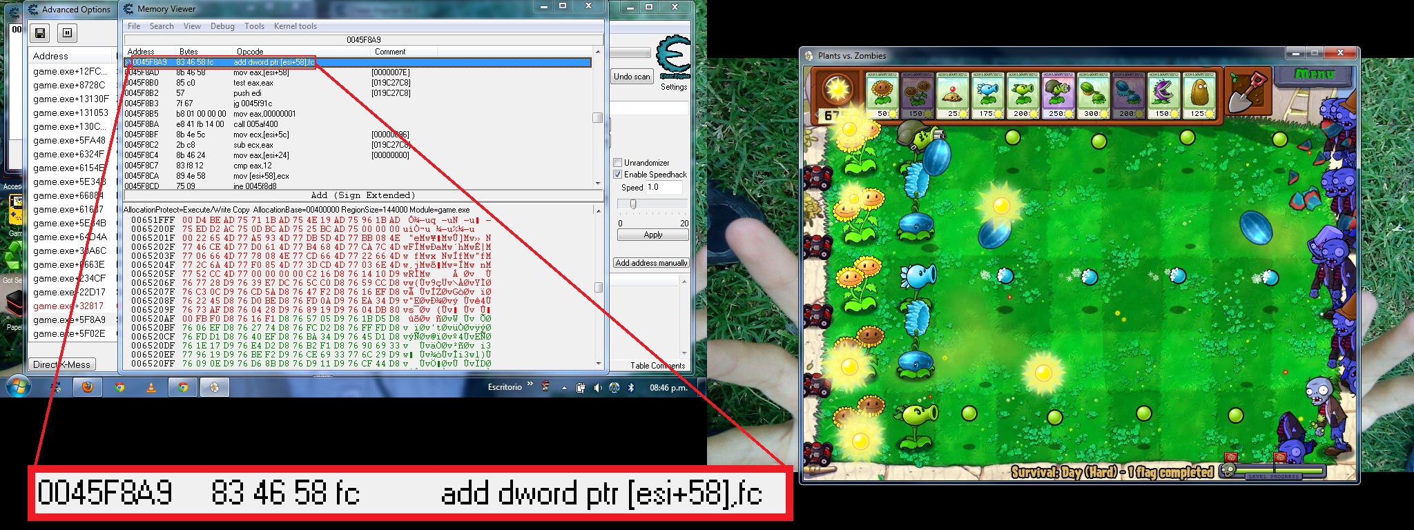 Screen Capture PvsZ 2.jpg