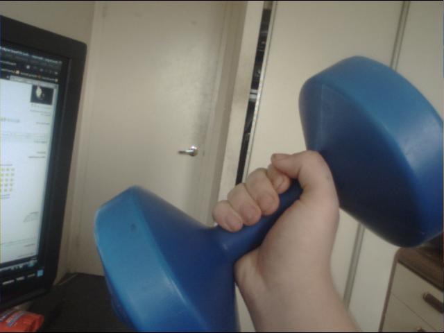 shitty 10 pound weight.jpg