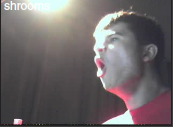 shrooms.png