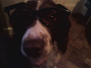 slaneyglasses.jpg