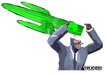 spy cactus.jpg