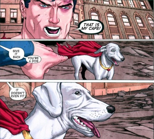 supid-dog-the-cape-doesnt-even-fit-500x452.jpg