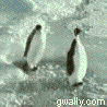 t237369140_56268_2.gif