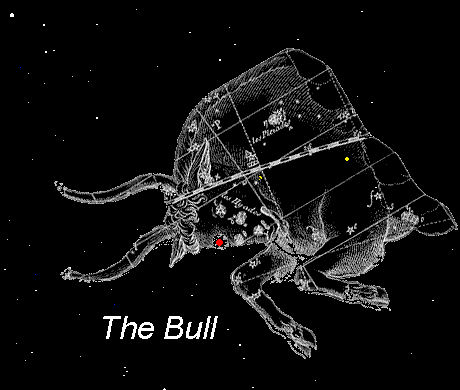 taurus2.jpg