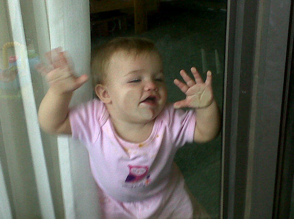 trappedinacage.jpg