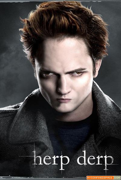 twilight-herp-derp.jpg