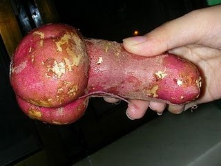 ubi-penis.jpg.jpeg