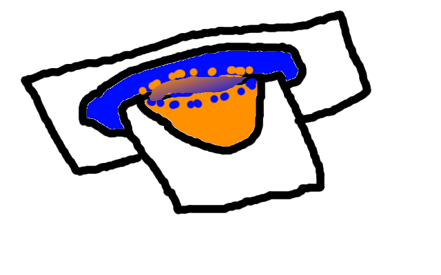 Untitled.png