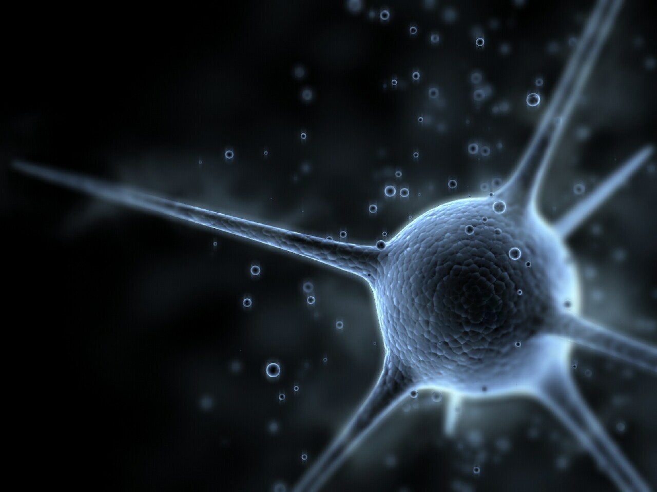 wallpaper-291171.jpg