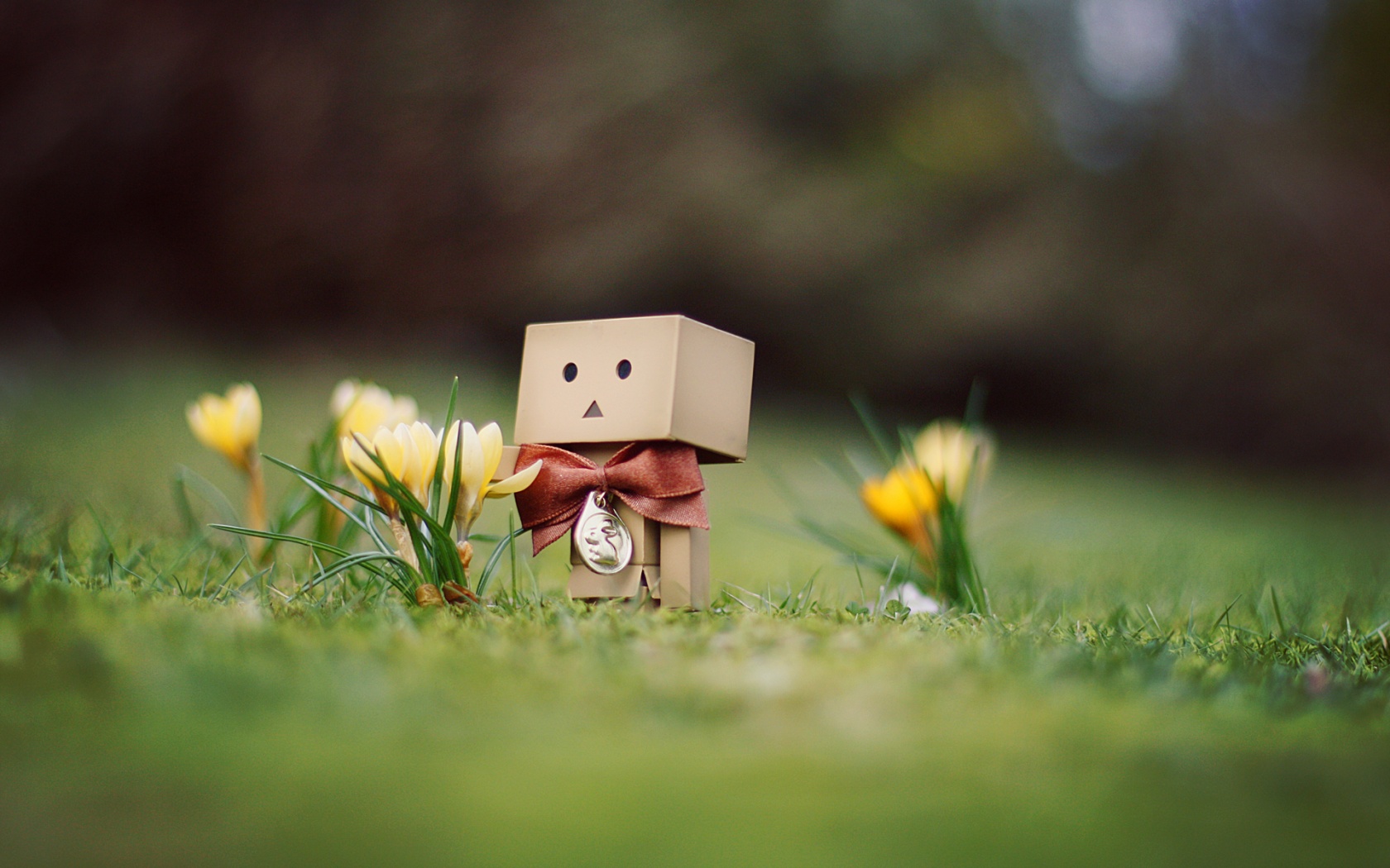 wallpaper-656734.jpg