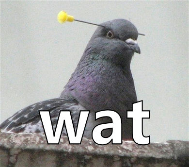 wat.jpg