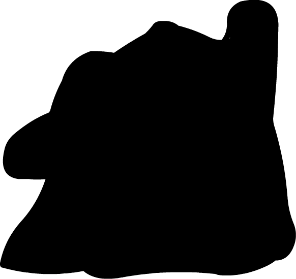 whoisthispokemon.png