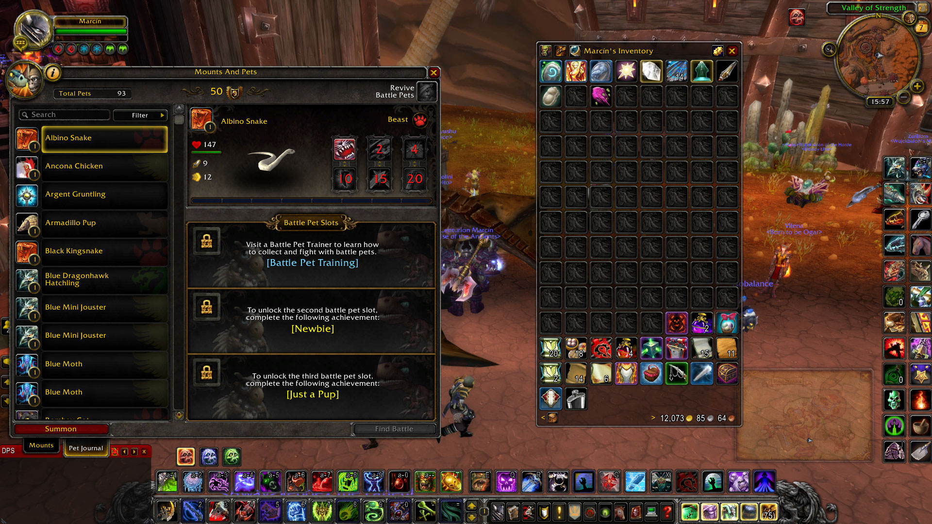 WoWScrnShot_090712_155758.jpg