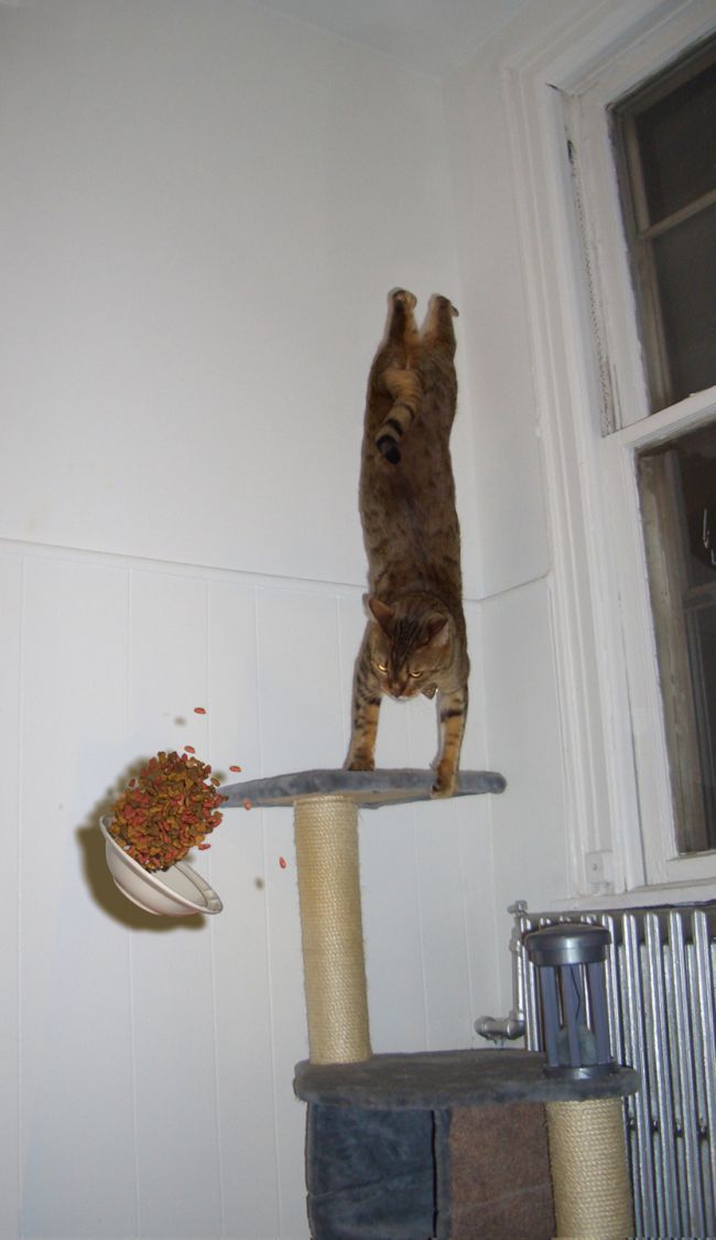 youcleanit.jpg