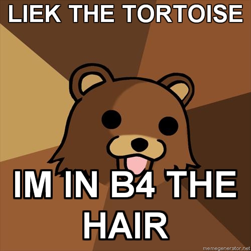 Youth-Mentor-Bear-liek-the-tortoise-im-in-b4-the-hair.jpg